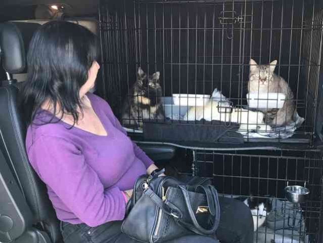 Chris and Tom, withSnowball, Flumpy, Rosie and Sam, as they make their way from Mallorca to Scotland.